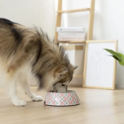 Ohpopdog Peranakan Inspired Bibik Pink 14 Non-Slip Dog Feeding Bowl