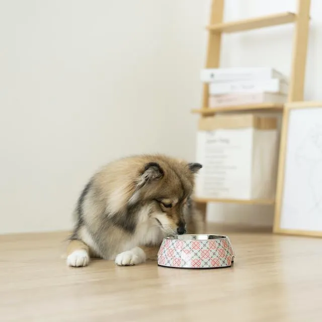 Ohpopdog Peranakan Inspired Bibik Pink 14 Non-Slip Dog Feeding Bowl