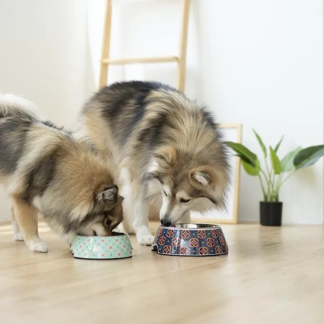 Ohpopdog Peranakan Inspired Straits Mint 17 Non-Slip Dog Feeding Bowl