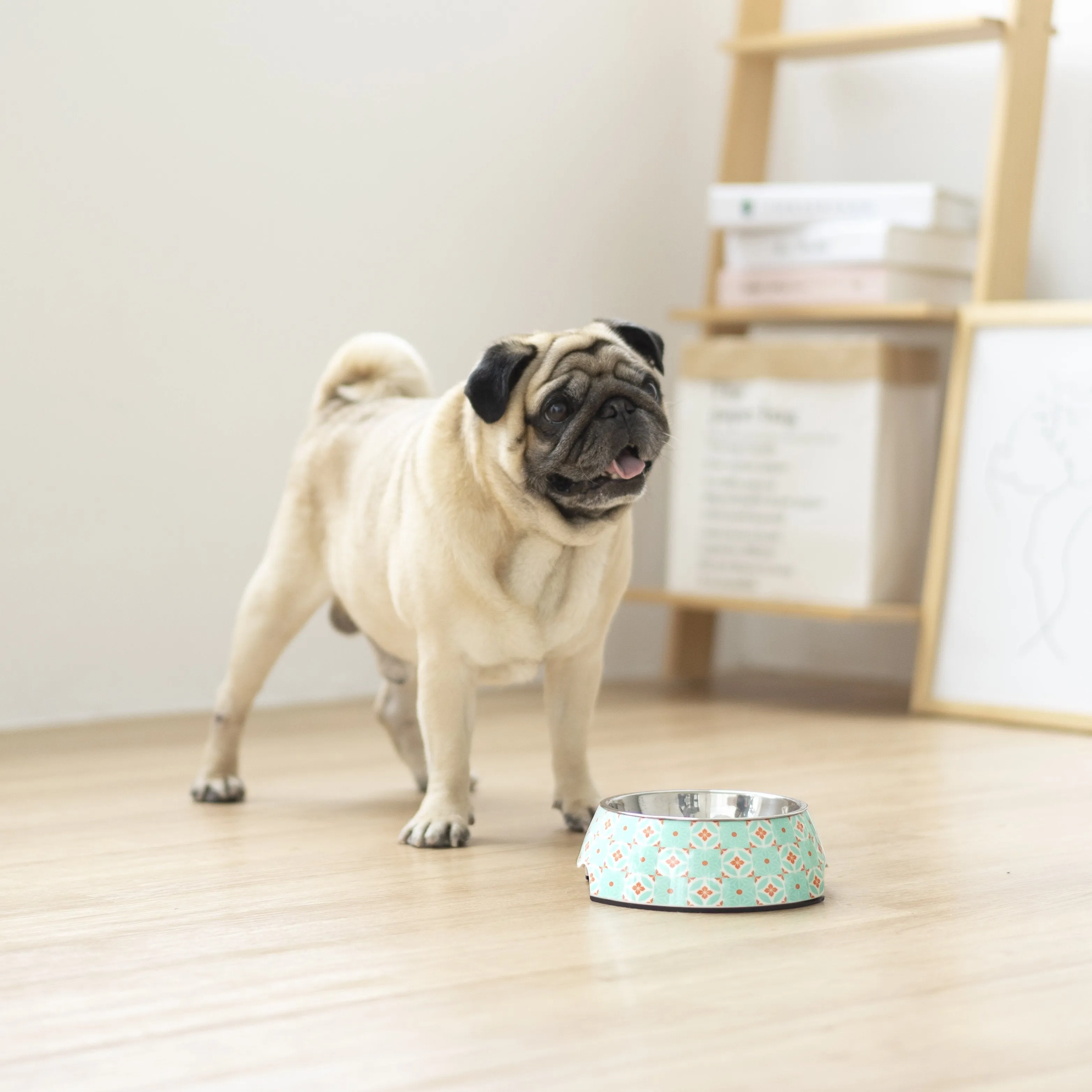 Ohpopdog Peranakan Inspired Straits Mint 17 Non-Slip Dog Feeding Bowl