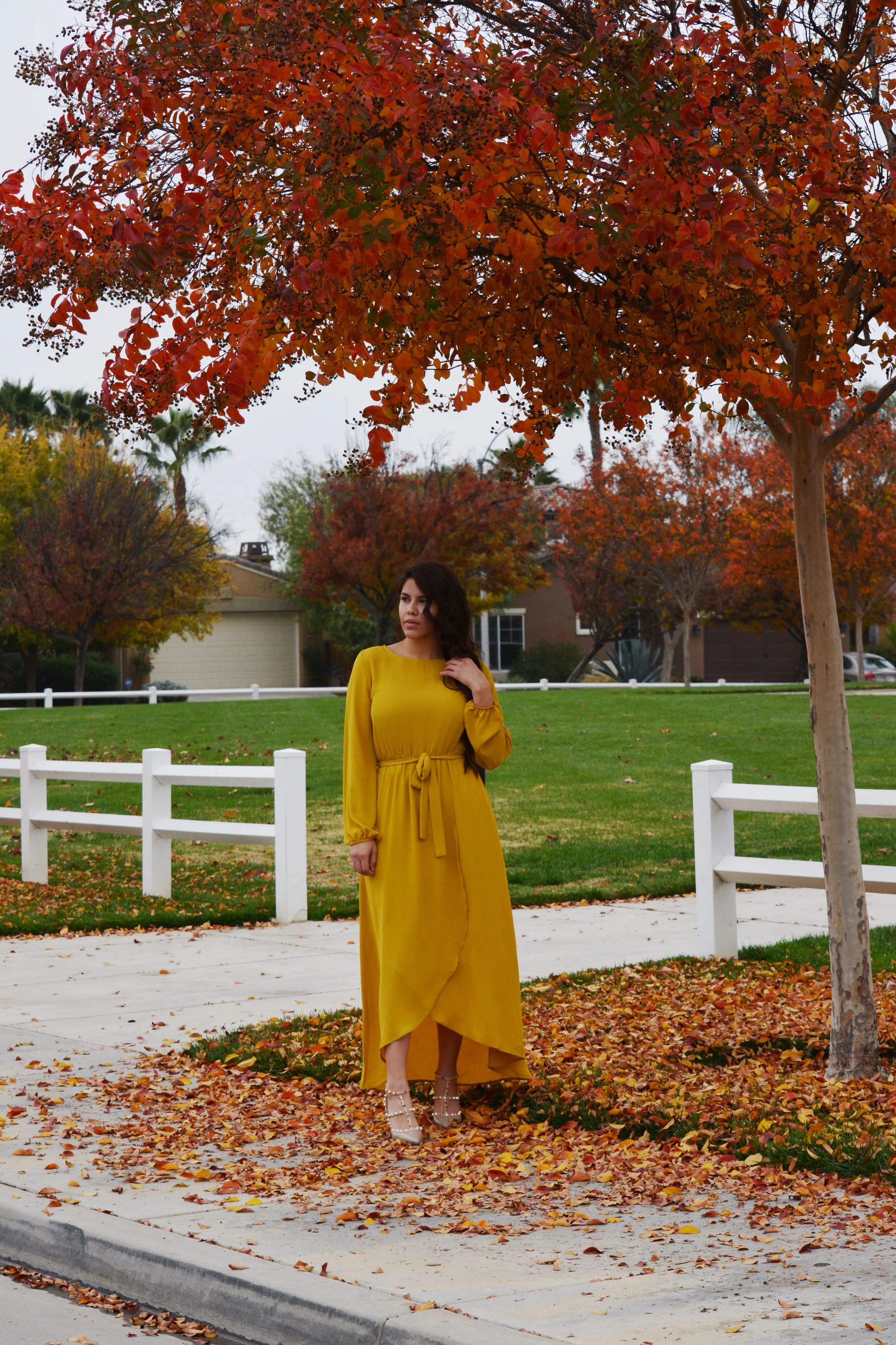 Paris Mustard Yellow Maxi Dress