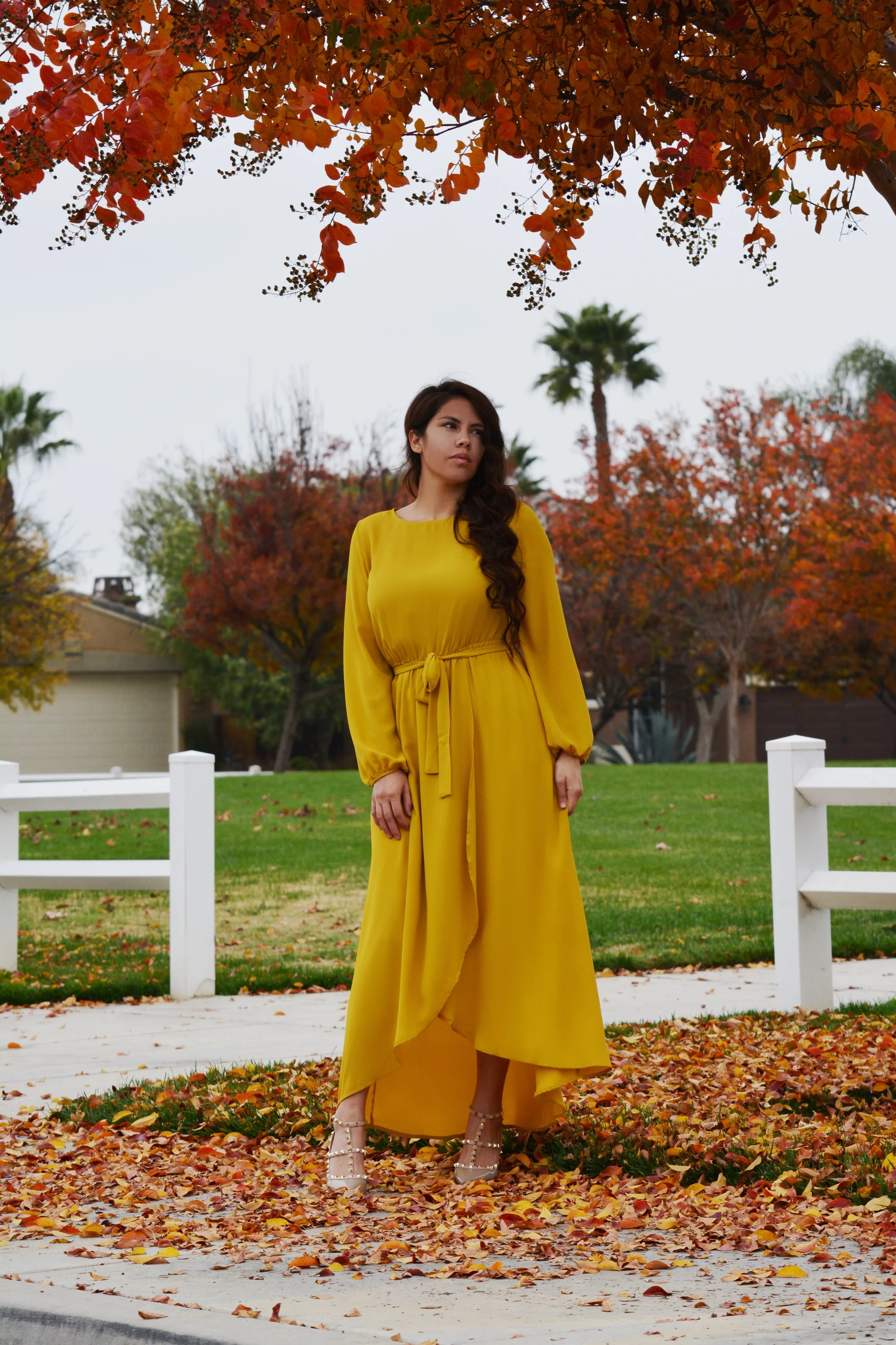 Paris Mustard Yellow Maxi Dress